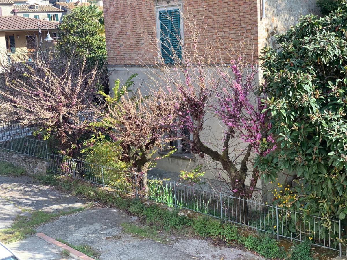 SMartspot Rosia Apartment Exterior foto